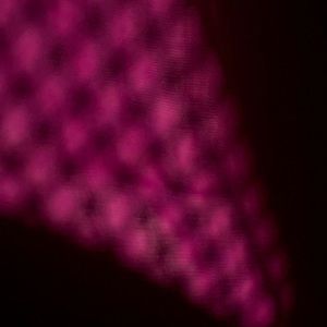 Meet your Posher, Mia